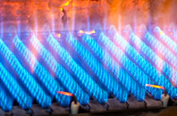 Forthampton gas fired boilers